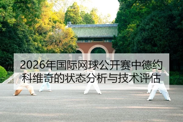 nian-guo-ji-wang-qiu-gong-kai-sai-zhong-de-yue-ke-wei-qi-de-zhuang-tai-fen-xi-yu-ji-shu-ping-gu-2-735.jpg