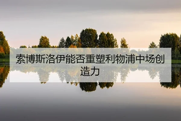 suo-bo-si-luo-yi-neng-fou-zhong-su-li-wu-pu-zhong-chang-chuang-zao-li-2-984.jpg