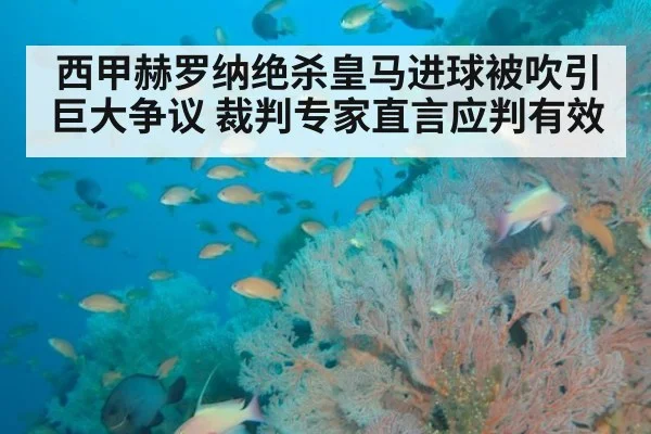 西甲赫罗纳绝杀皇马进球被吹引巨大争议 裁判专家直言应判有效