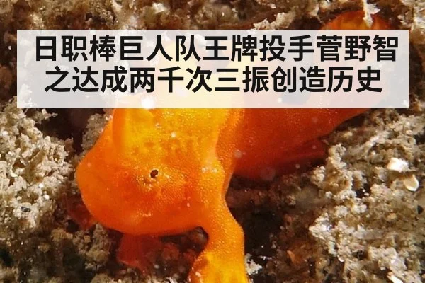 日职棒巨人队王牌投手菅野智之达成两千次三振创造历史